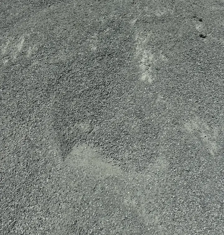 Blue Dust — bulk landscape material at the yard