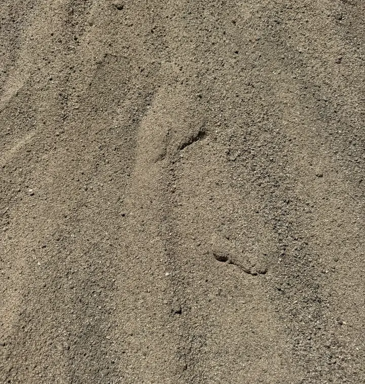 Plaster Sand — bulk landscape material at the yard