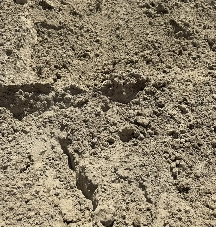 Sandy Loam — bulk landscape material at the yard